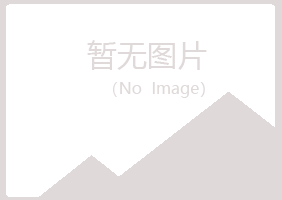 阿克陶县夜山冶炼有限公司